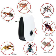 Load image into Gallery viewer, Accelerated Pest Killer